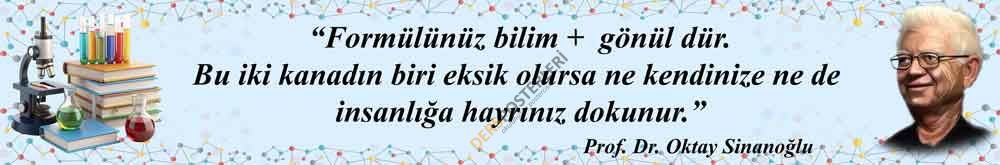 Oktay Sinanoğlu Kiriş Yazısı