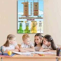 Zamanın Ölçüleri Okul Posteri