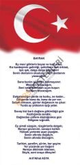Bayrak Şiiri Okul Kapı Giydirme