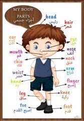 Arapça Türkçe Benim Vücudum İmam Hatip Okul Posteri