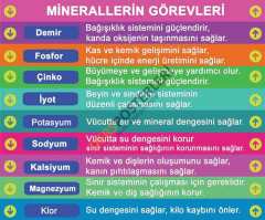 Minerallerin Görevleri Merdiven Yazıları