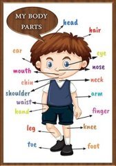 My Bady Parts Okul Posteri