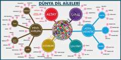 Dünya Dil Aileleri Okul Posteri