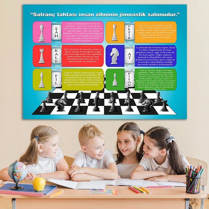 Satranç Kuralları Ders Afişi Poster