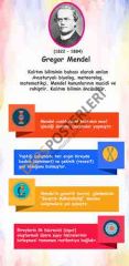 Bilim İnsanları Gregor Mendel Kapı Giydirme